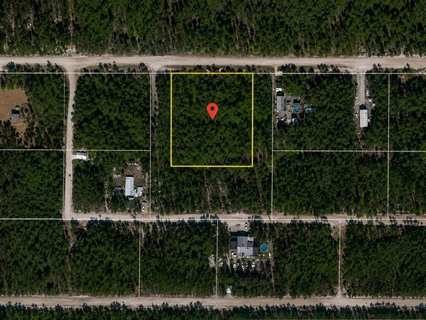 NE 239TH STREET , FORT MC COY, FL 32134