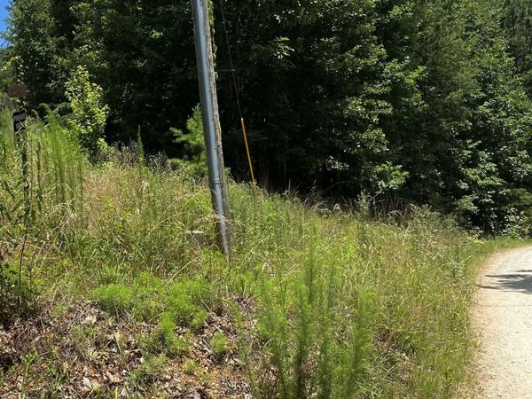 LOT 30 Wauka Ridge Road, Clermont, GA 30527