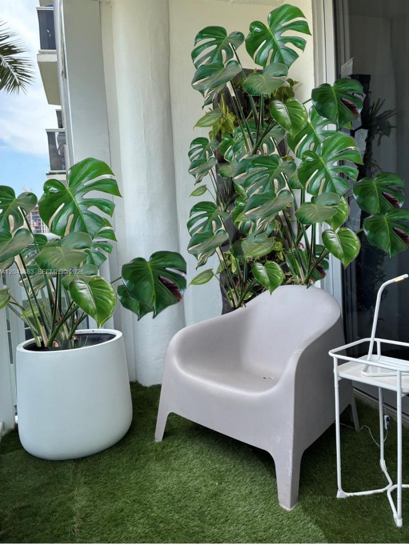 900 Bay Dr , Unit 207, Miami Beach, FL 33141 Photo
