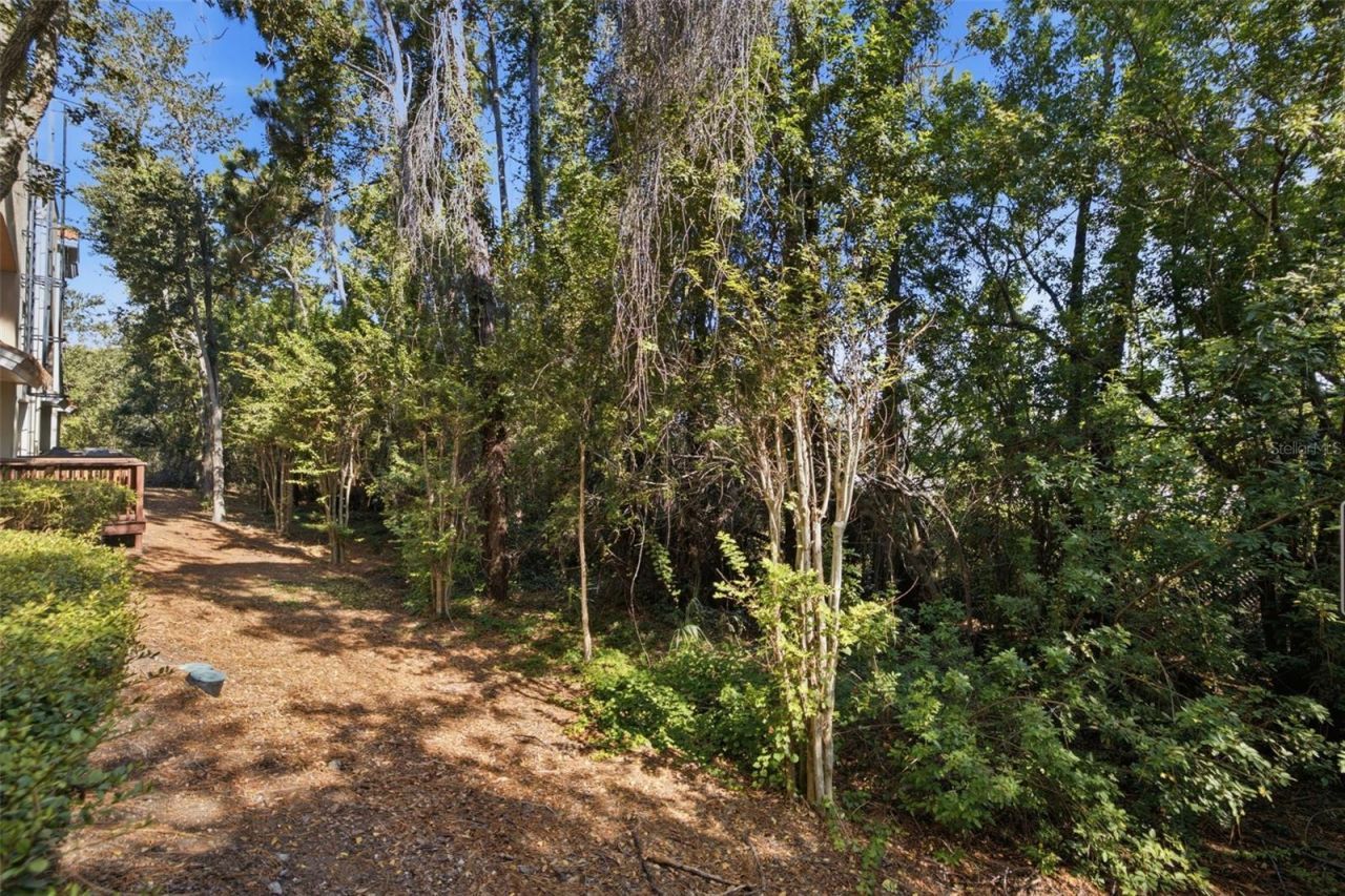 521 101st Avenue N, Saint Petersburg, FL 33702 Photo