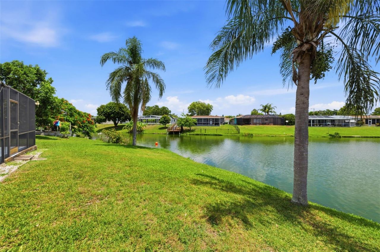 9736 Shamokin Lane, Port Richey, FL 34668 Photo