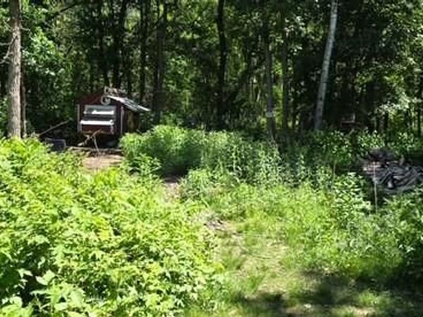 33810 Wildberry Lane , Pequot Lakes, MN 56472