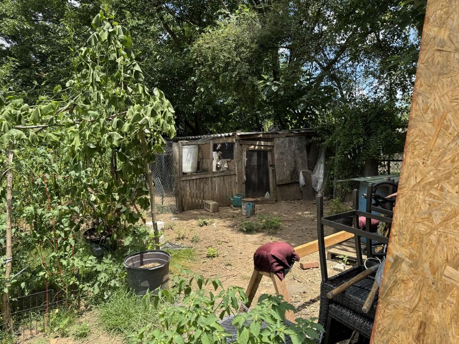Property Image 16