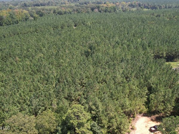 County Rd 2127, McCool, MS 39108