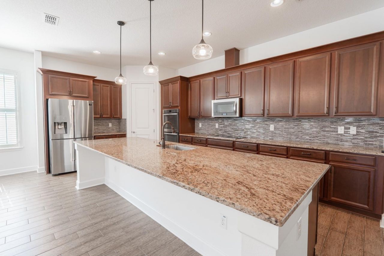 10667 Cardera Drive, Riverview, FL 33578 Photo