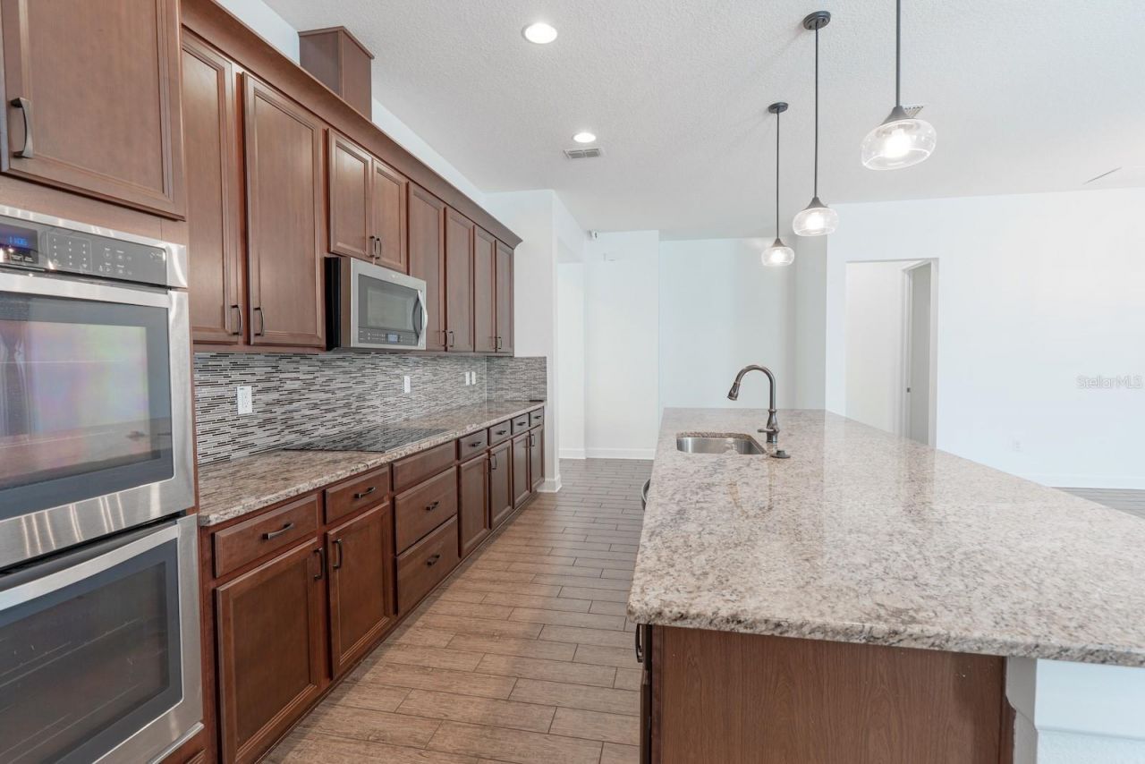 10667 Cardera Drive, Riverview, FL 33578 Photo