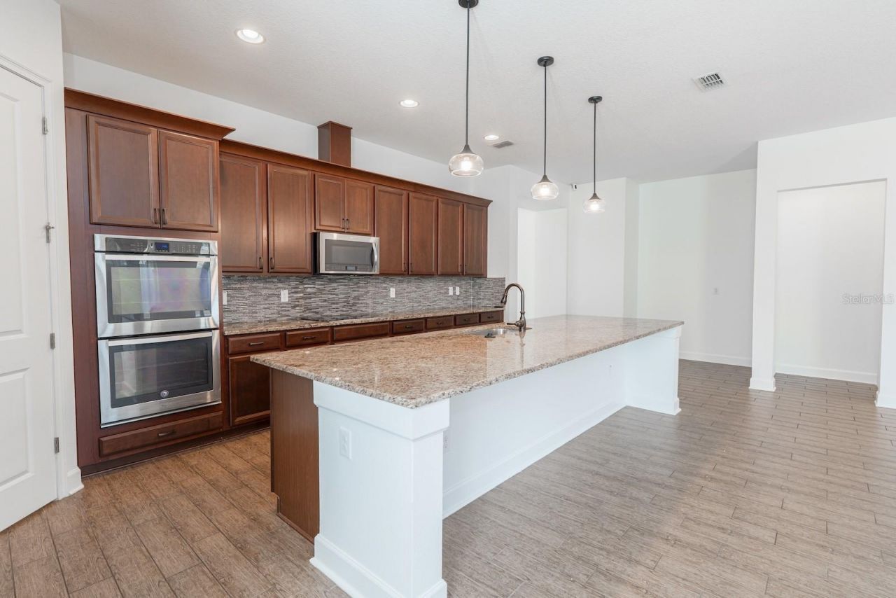 10667 Cardera Drive, Riverview, FL 33578 Photo