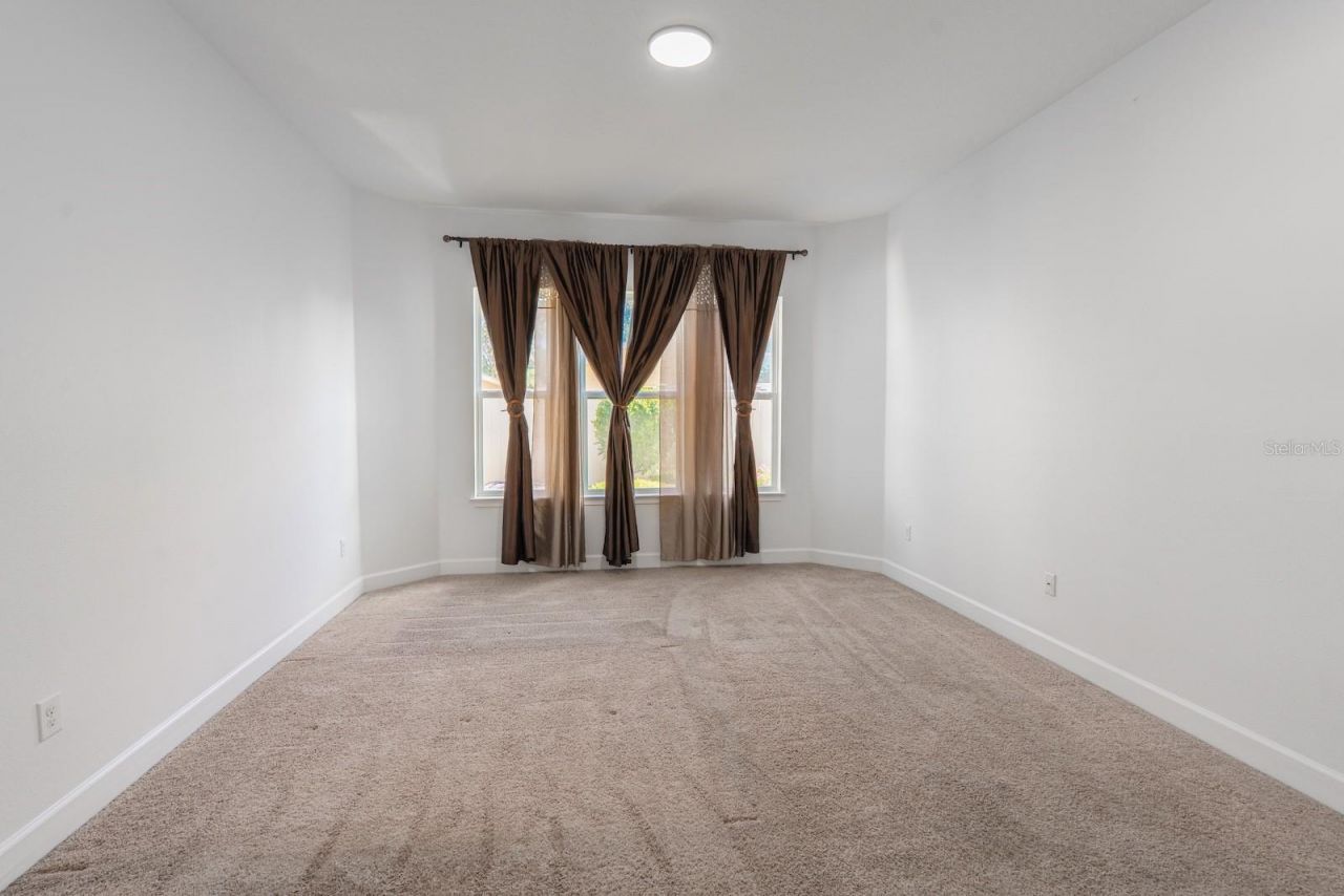 10667 Cardera Drive, Riverview, FL 33578 Photo