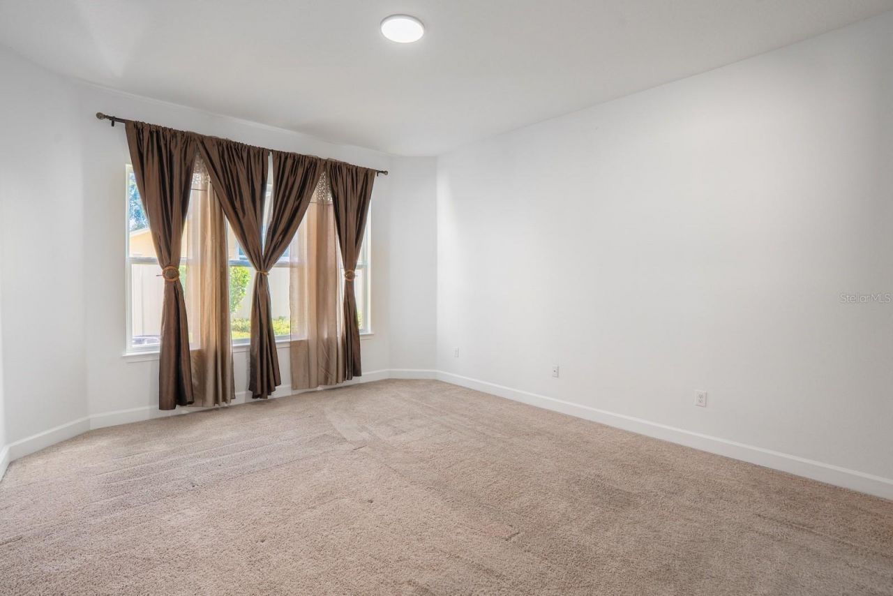 10667 Cardera Drive, Riverview, FL 33578 Photo