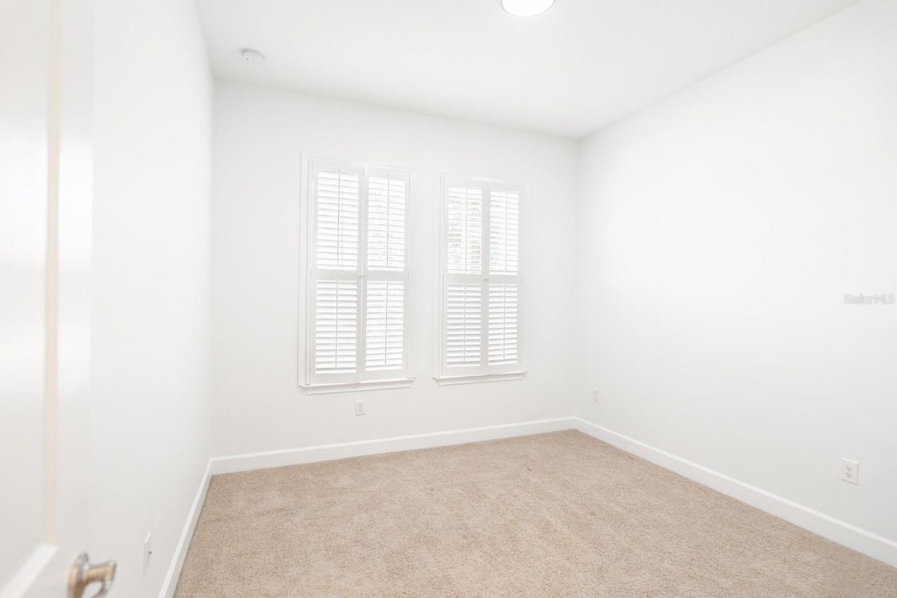 10667 Cardera Drive, Riverview, FL 33578 Photo