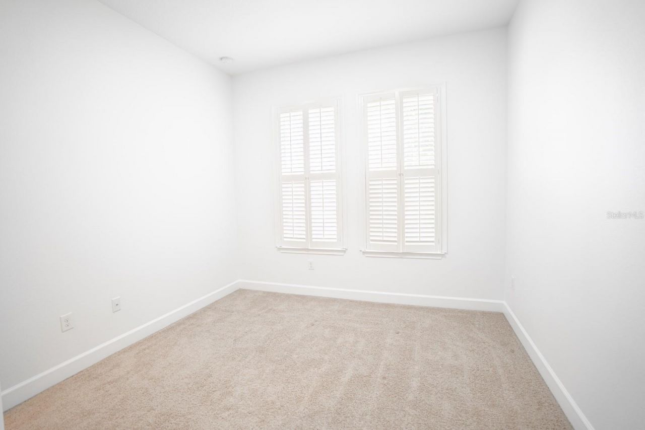 10667 Cardera Drive, Riverview, FL 33578 Photo