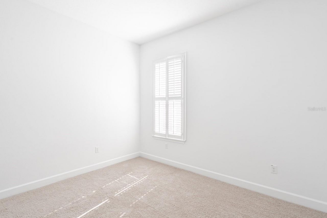 10667 Cardera Drive, Riverview, FL 33578 Photo