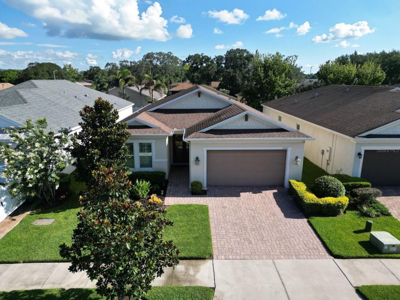 10667 Cardera Drive, Riverview, FL 33578 Photo