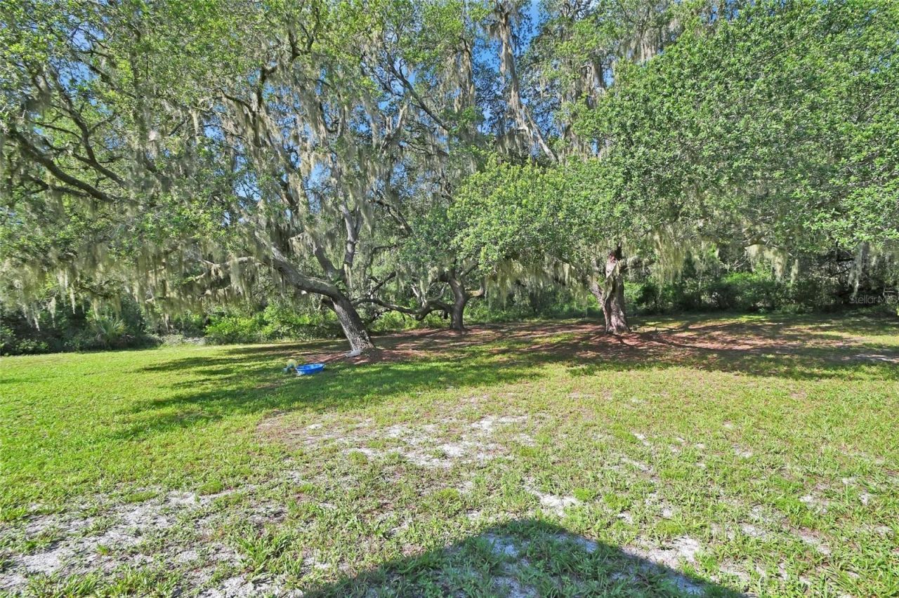 38846 Forest Drive, Eustis, FL 32736 Photo