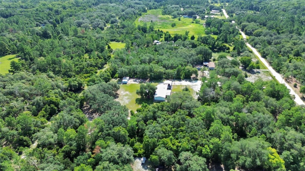 38846 Forest Drive, Eustis, FL 32736 Photo