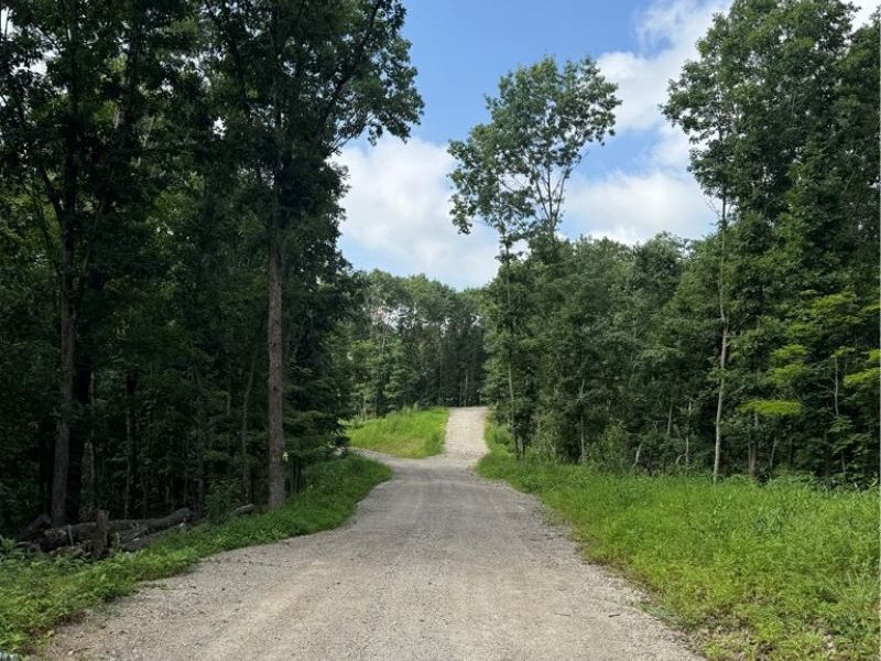 Hinkley Hollow Road, Portsmouth, OH 45662 Photo 10