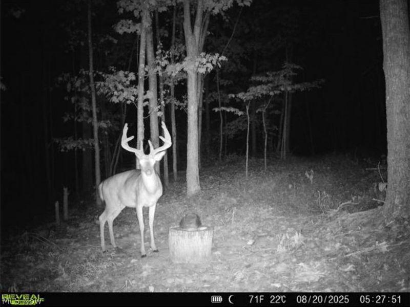 Hinkley Hollow Road, Portsmouth, OH 45662 Photo 18