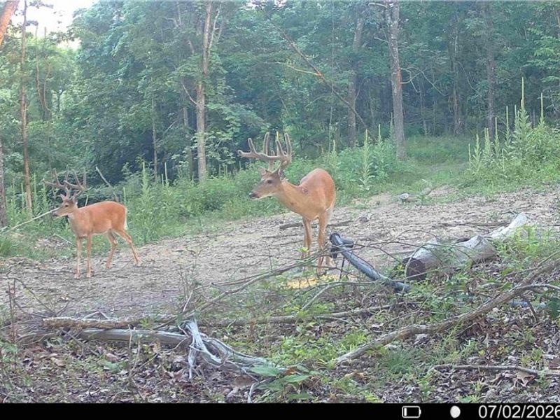 Hinkley Hollow Road, Portsmouth, OH 45662 Photo 19