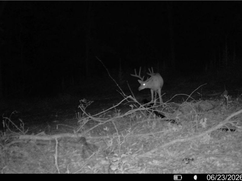 Hinkley Hollow Road, Portsmouth, OH 45662 Photo 21