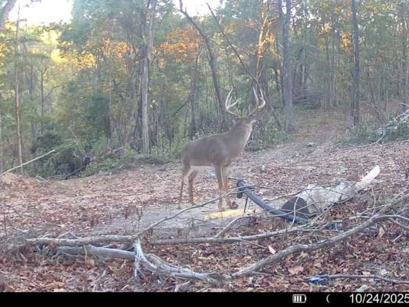Hinkley Hollow Road, Portsmouth, OH 45662 Photo 23