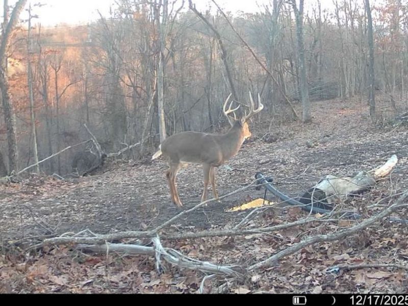 Hinkley Hollow Road, Portsmouth, OH 45662 Photo 24