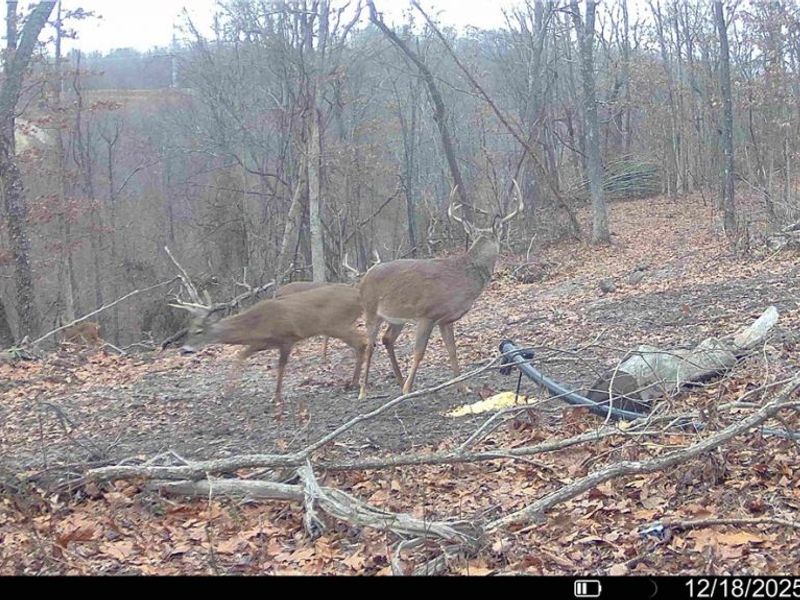 Hinkley Hollow Road, Portsmouth, OH 45662 Photo 27