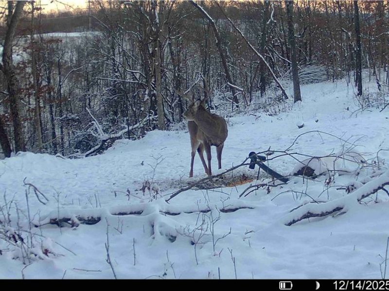 Hinkley Hollow Road, Portsmouth, OH 45662 Photo 28