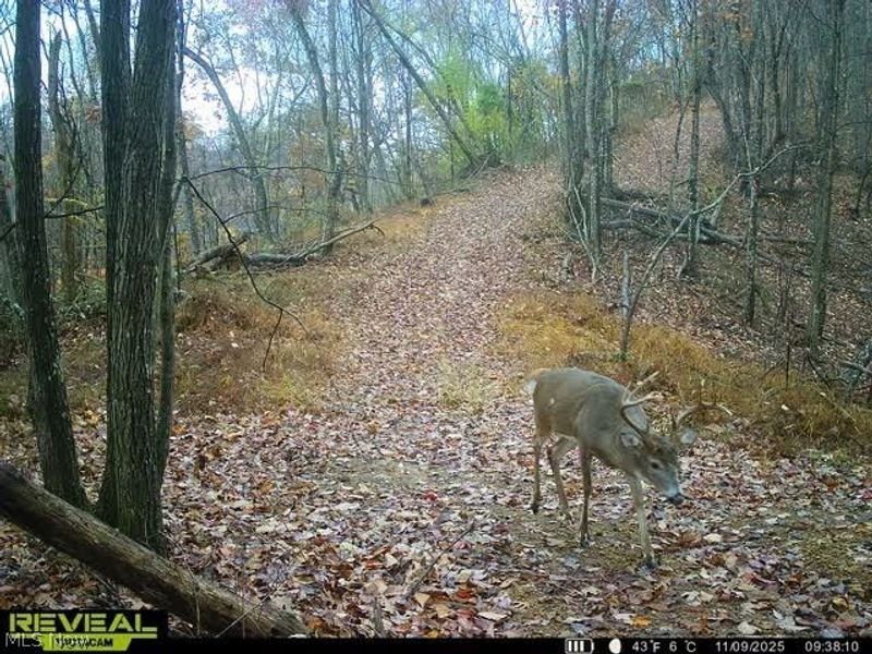 Hinkley Hollow Road, Portsmouth, OH 45662 Photo 29