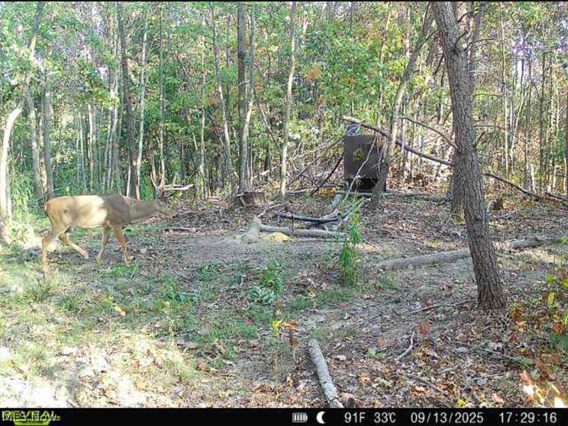 Hinkley Hollow Road, Portsmouth, OH 45662 Photo 31