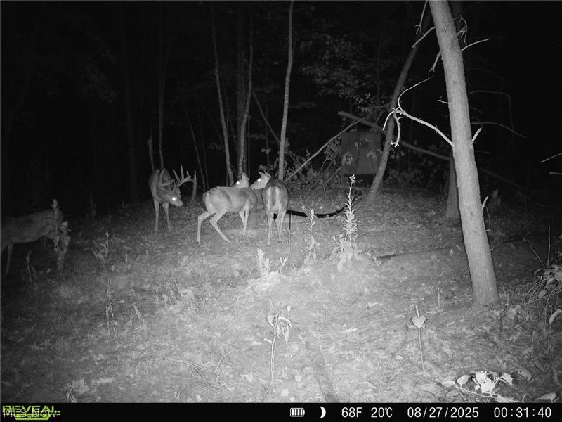 Hinkley Hollow Road, Portsmouth, OH 45662 Photo 33