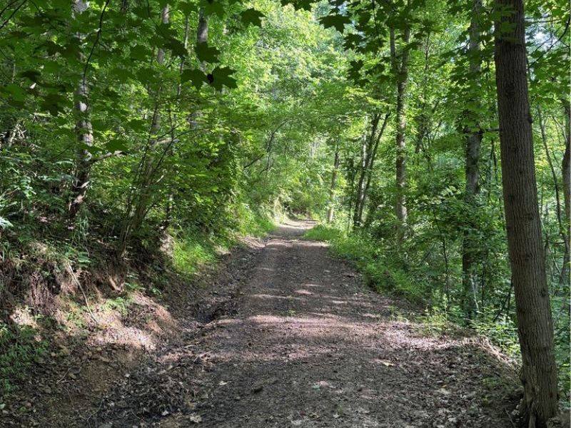 Hinkley Hollow Road, Portsmouth, OH 45662 Photo 37