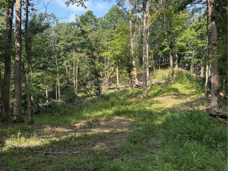 Hinkley Hollow Road, Portsmouth, OH 45662 Photo 41
