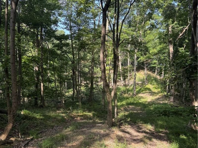 Hinkley Hollow Road, Portsmouth, OH 45662 Photo 42