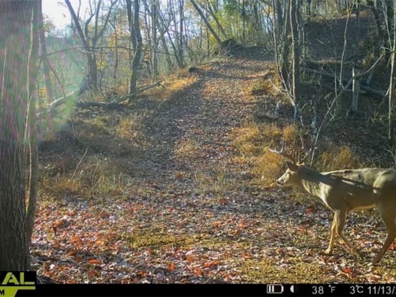 Hinkley Hollow Road, Portsmouth, OH 45662 Photo 45