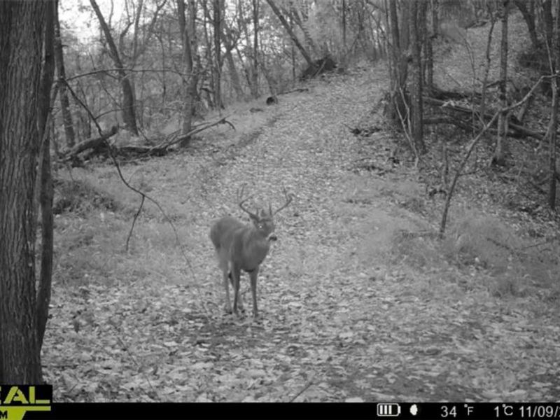 Hinkley Hollow Road, Portsmouth, OH 45662 Photo 47