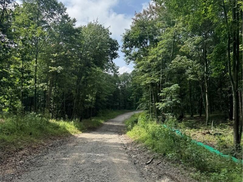Hinkley Hollow Road, Portsmouth, OH 45662 Photo 48