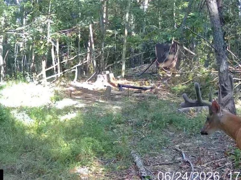 Hinkley Hollow Road, Portsmouth, OH 45662 Photo 5