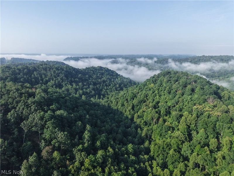 Hinkley Hollow Road, Portsmouth, OH 45662 Photo 6