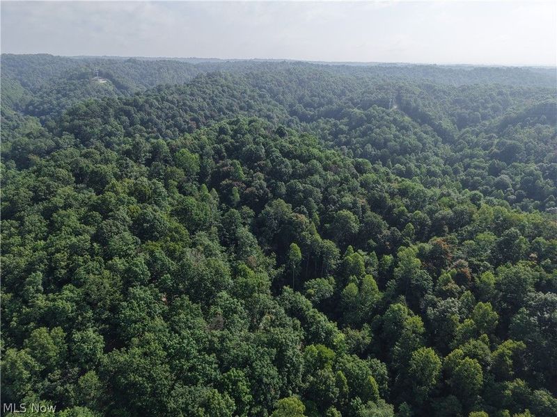 Hinkley Hollow Road, Portsmouth, OH 45662 Photo 8