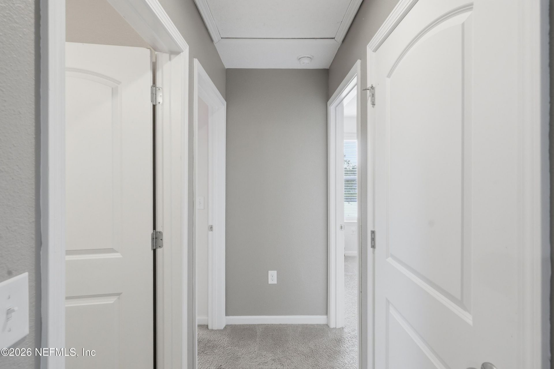 3130 Hidden Meadows Court, Green Cove Springs, FL 32043 Photo