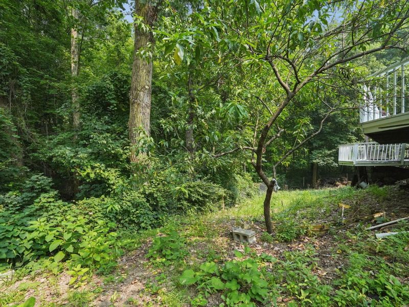 2622 Hingham Lane, Columbus, OH 43224 Photo 41