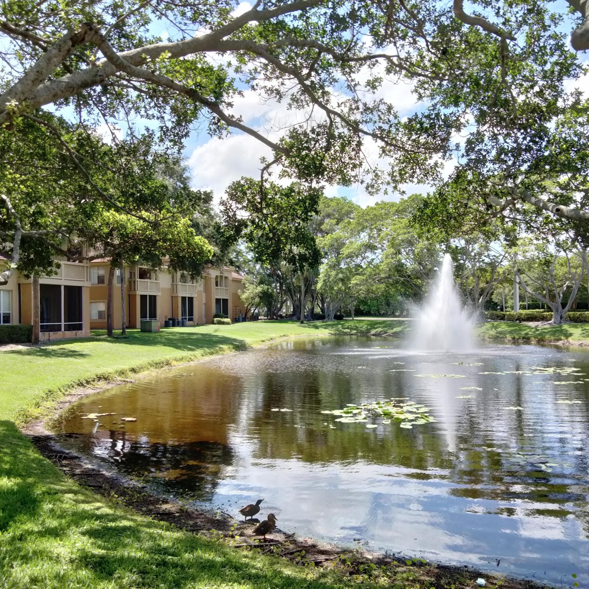 4759 Via Palm Lakes, Unit 305, West Palm Beach, FL 33417 Photo