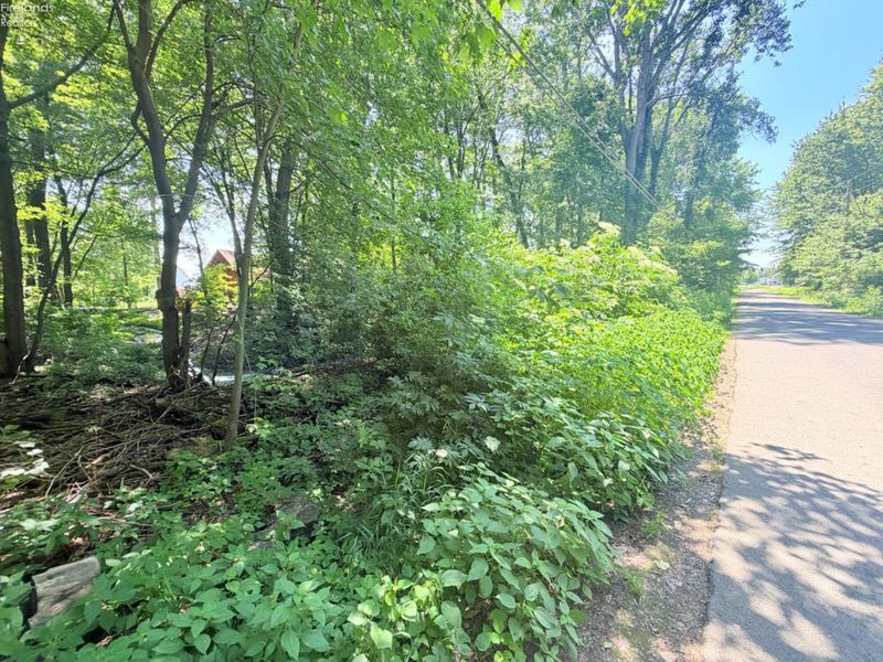 403 Runkel Road, Middle Bass Island, OH 43446 Photo 4