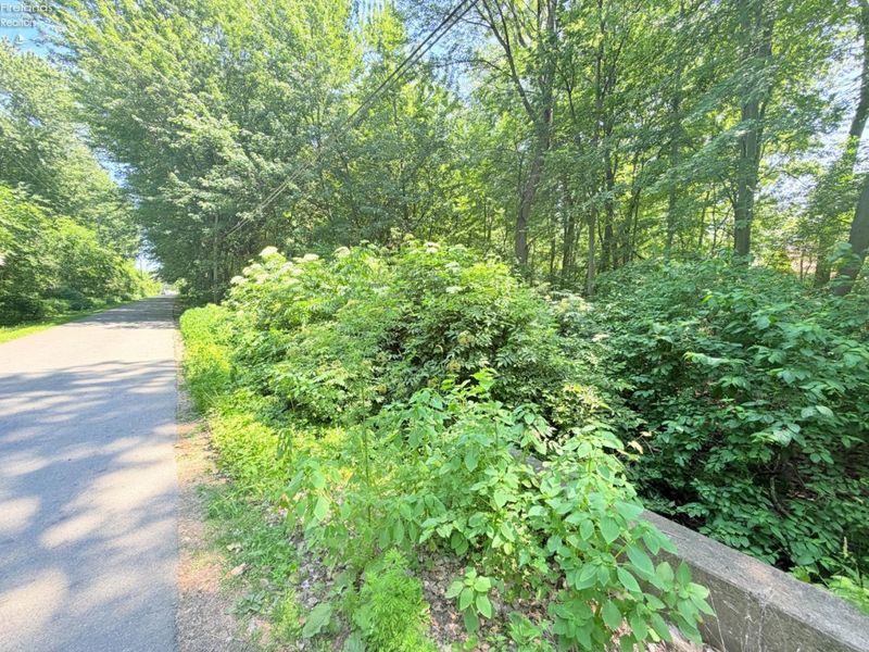 403 Runkel Road, Middle Bass Island, OH 43446 Photo 5