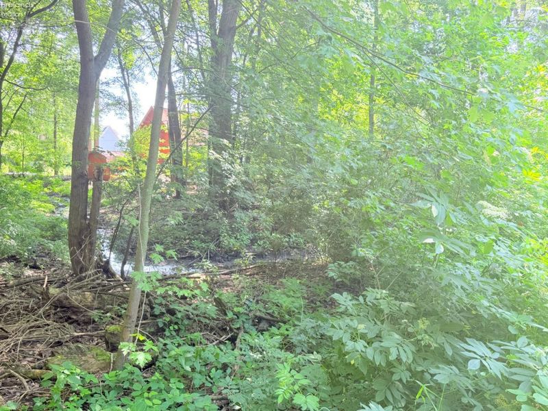 403 Runkel Road, Middle Bass Island, OH 43446 Photo 6