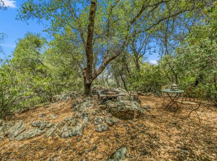2211 Terrace View Ct, Cool, CA 95614 Photo