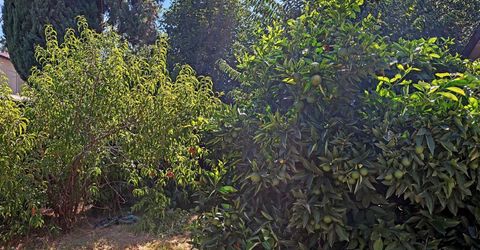 7524 Mctavish Cir, Sacramento, CA 95828 Photo