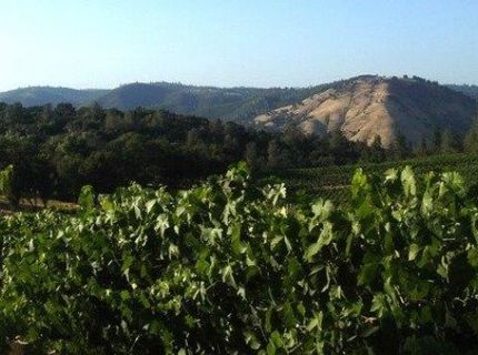 741 Cold Springs Road, Placerville, CA 95667 Photo