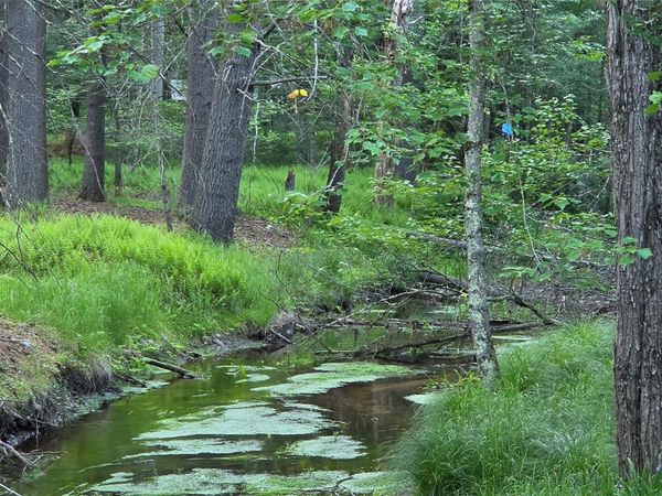 Lot 3.3 Old Tacy Road , Bethel, NY 12720