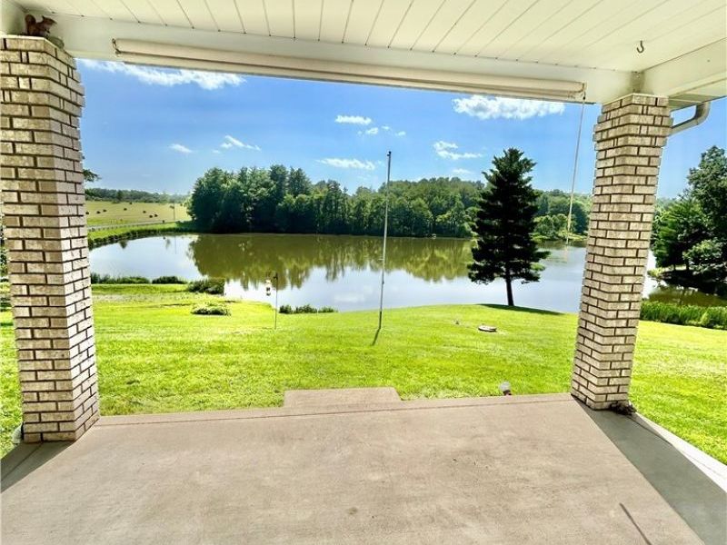 41031 Brown Rd, Bethesda, OH 43719 Photo 5